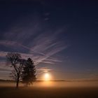 Moonrise im Murnauer Moos