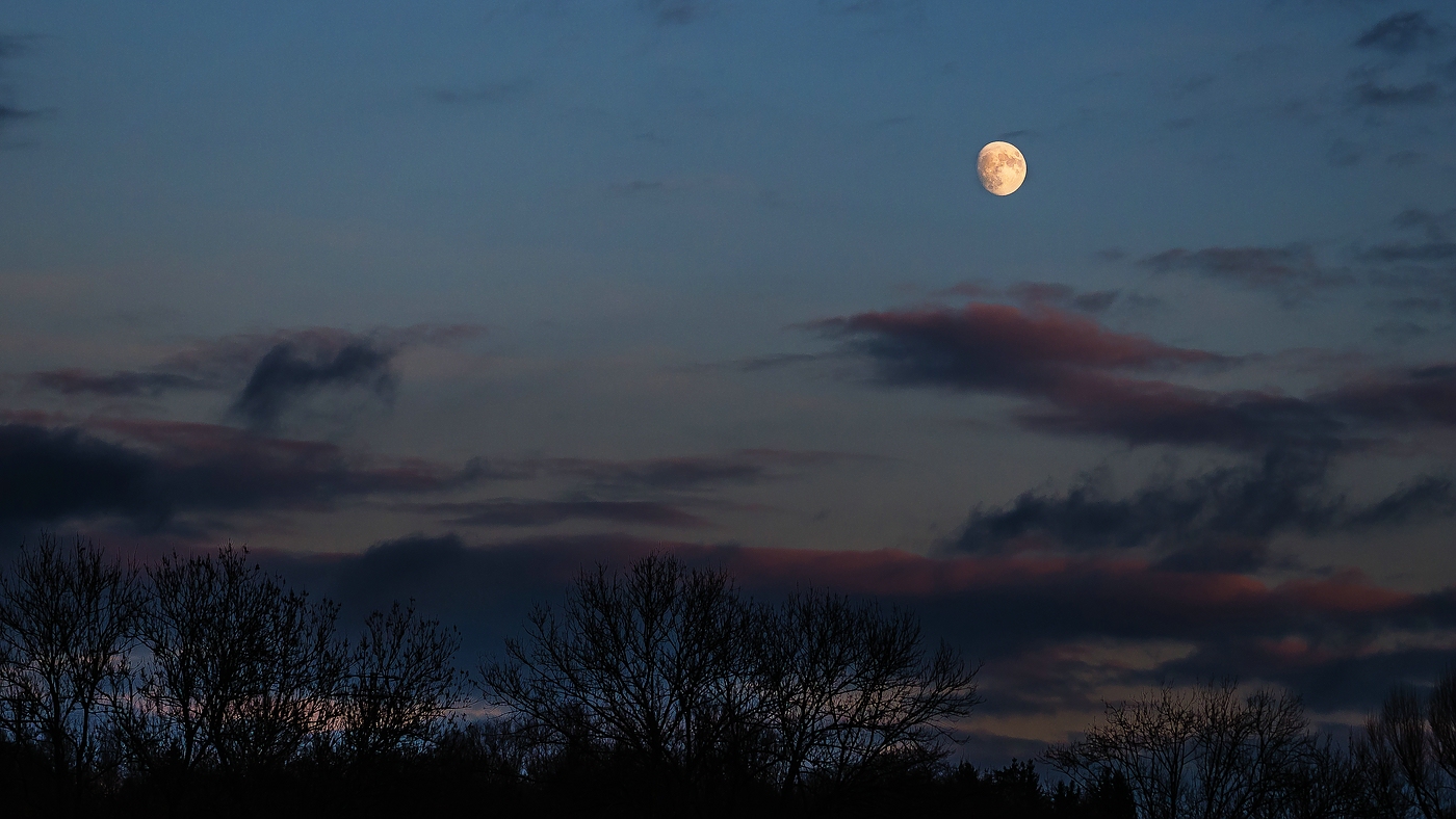 Moonrise in December