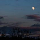 Moonrise in December