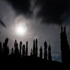 Moonrise over leh, Ladakh