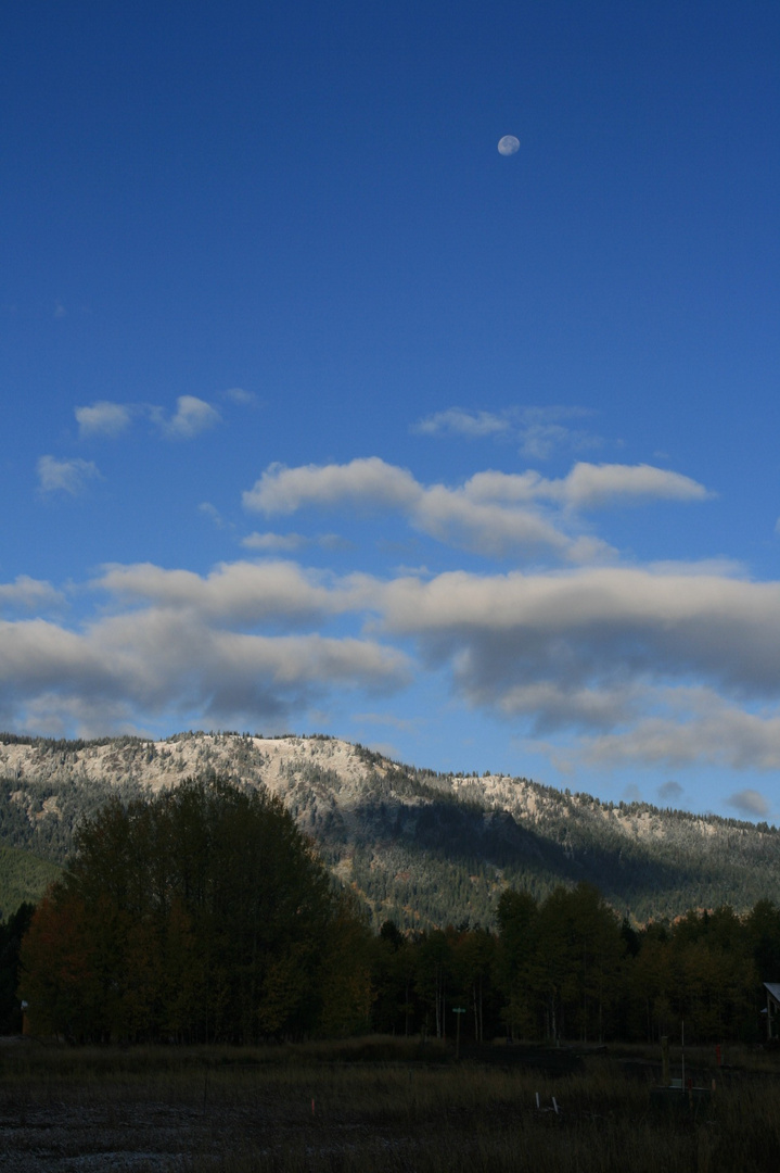 Moonrise Over Tamarack