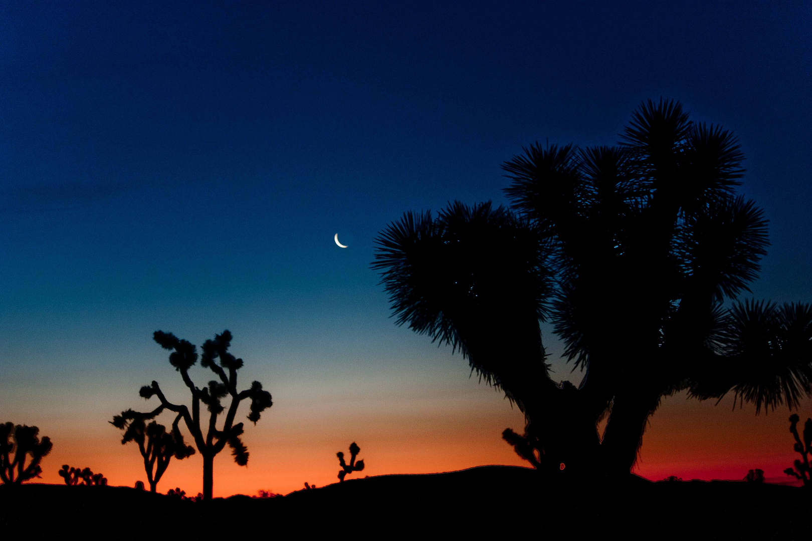 Moonrise with Earthshine on Joshua Tree National Park