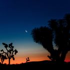 Moonrise with Earthshine on Joshua Tree National Park