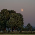 Moonrise_DSC0379420220809