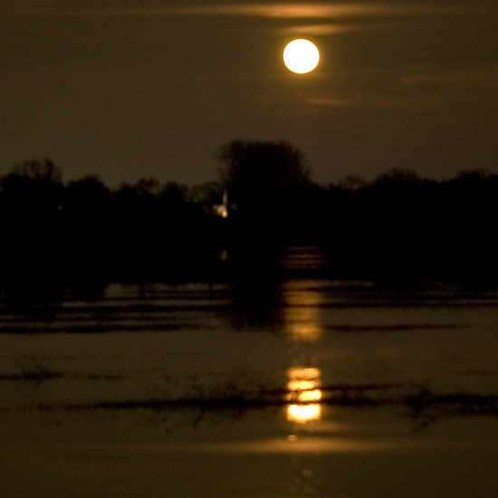 Moonrise@Gentslake