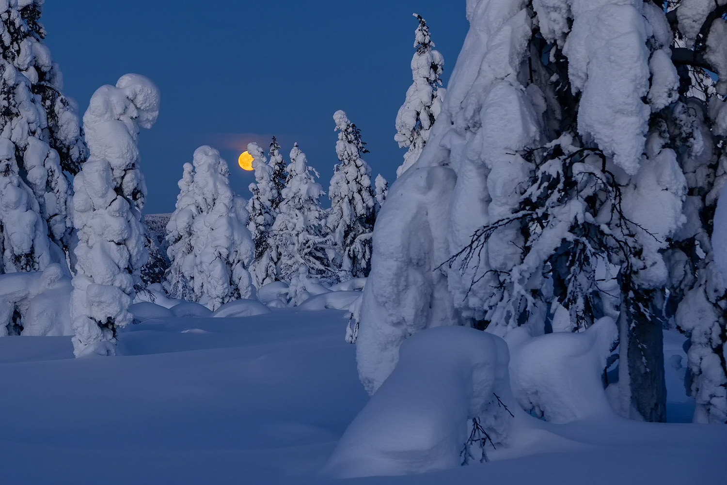 Moonset / Monduntergang