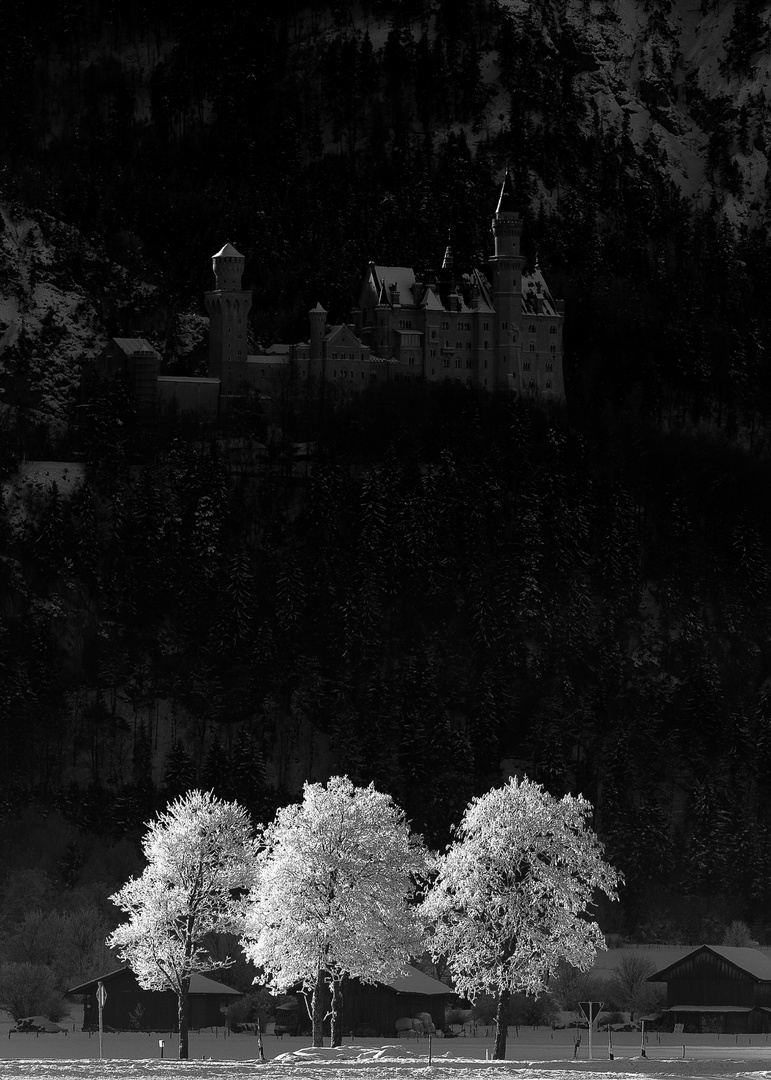 Moonshine over Neuschwanstein castle