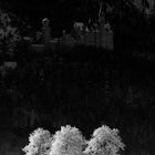 Moonshine over Neuschwanstein castle