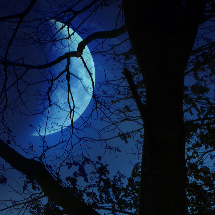 moonshine silhouette von Nexter 