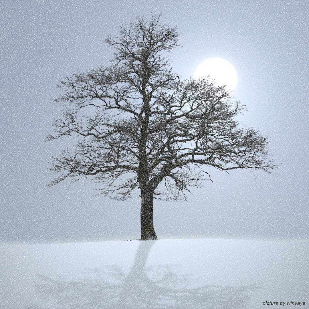 MoonTree