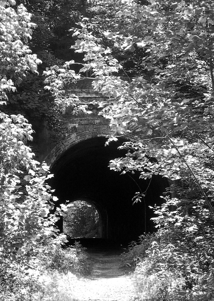 Moonville Tunnel Ohio