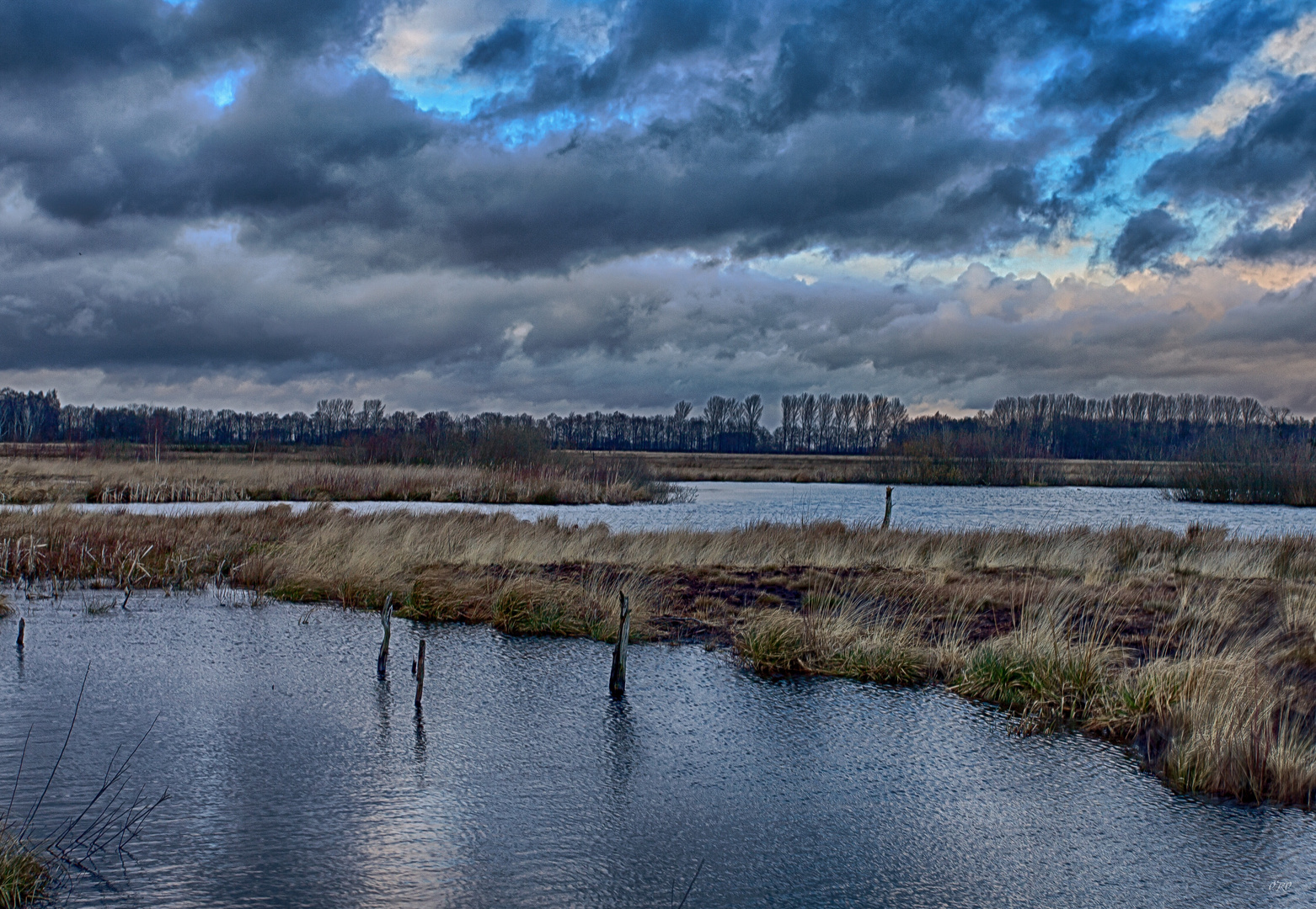Moor Foto Bild landschaft moor naturschutz Bilder auf fotocommunity