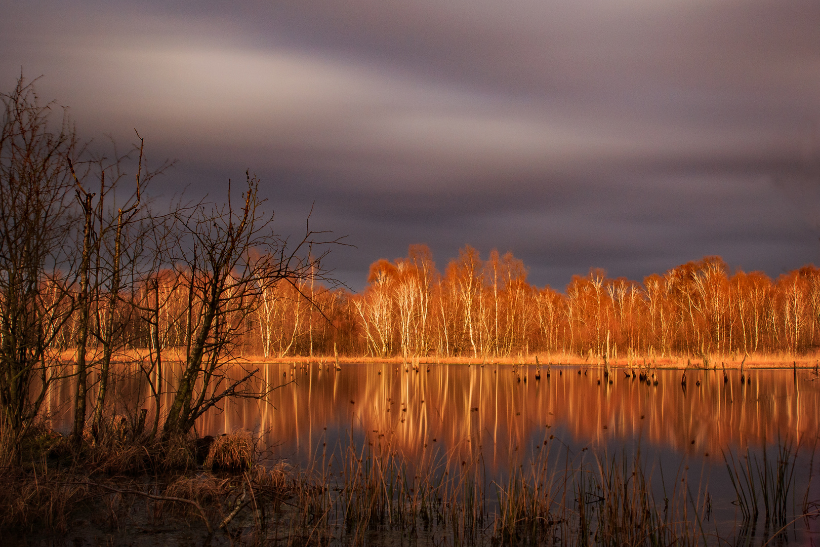 Moor am Abend