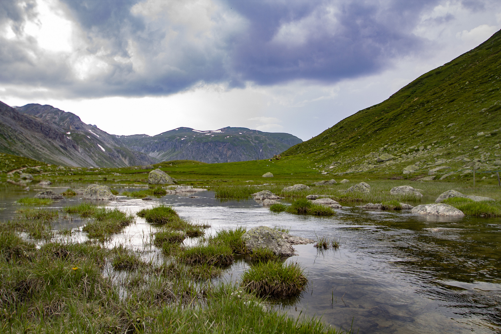 Moor am Bach