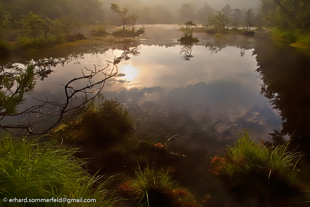 Moor am Morgen