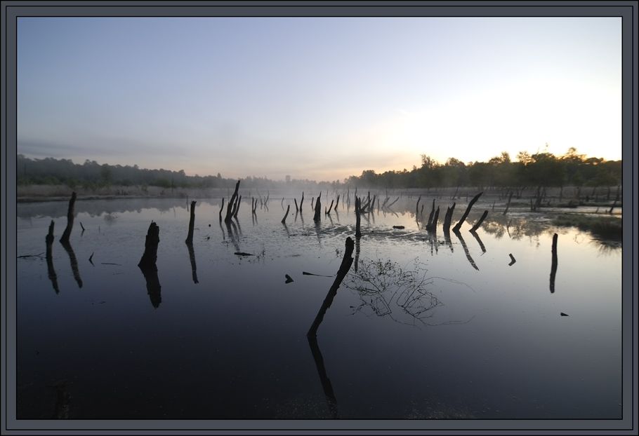 Moor am Morgen