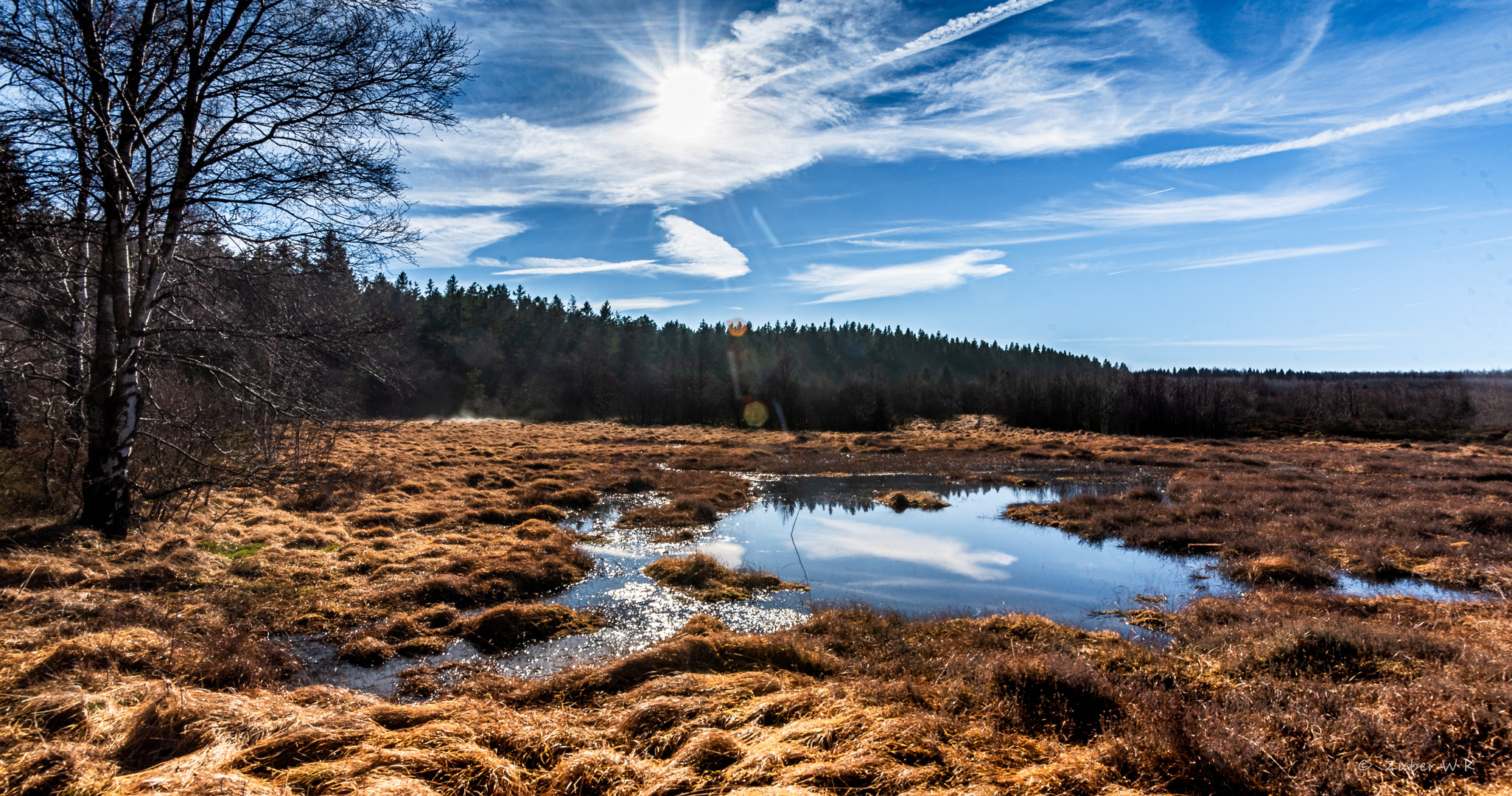 Moor am Morgen