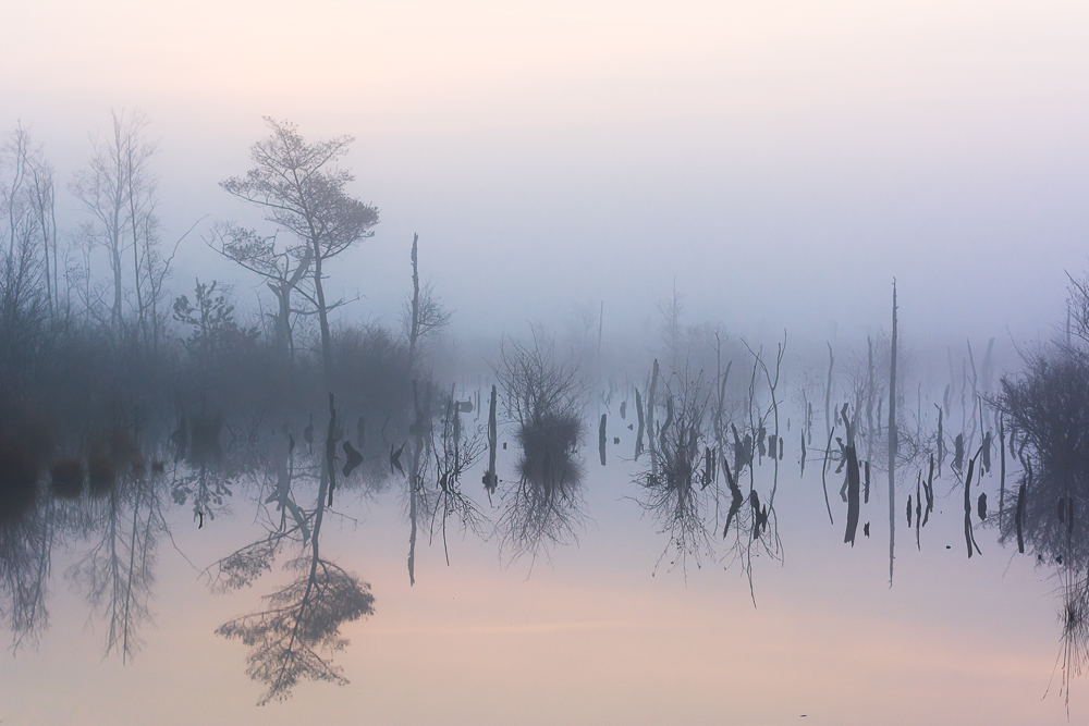 Moor am Morgen