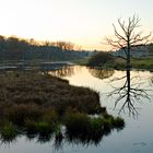 Moor bei Andechs I