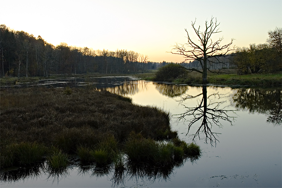 Moor bei Andechs I