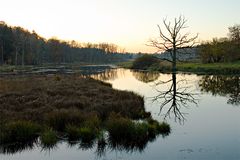 Moor bei Andechs I