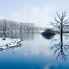 Moor bei Andechs II