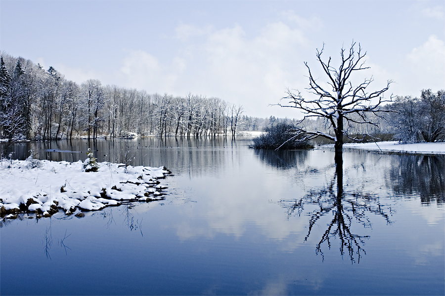 Moor bei Andechs II