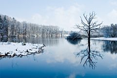 Moor bei Andechs II