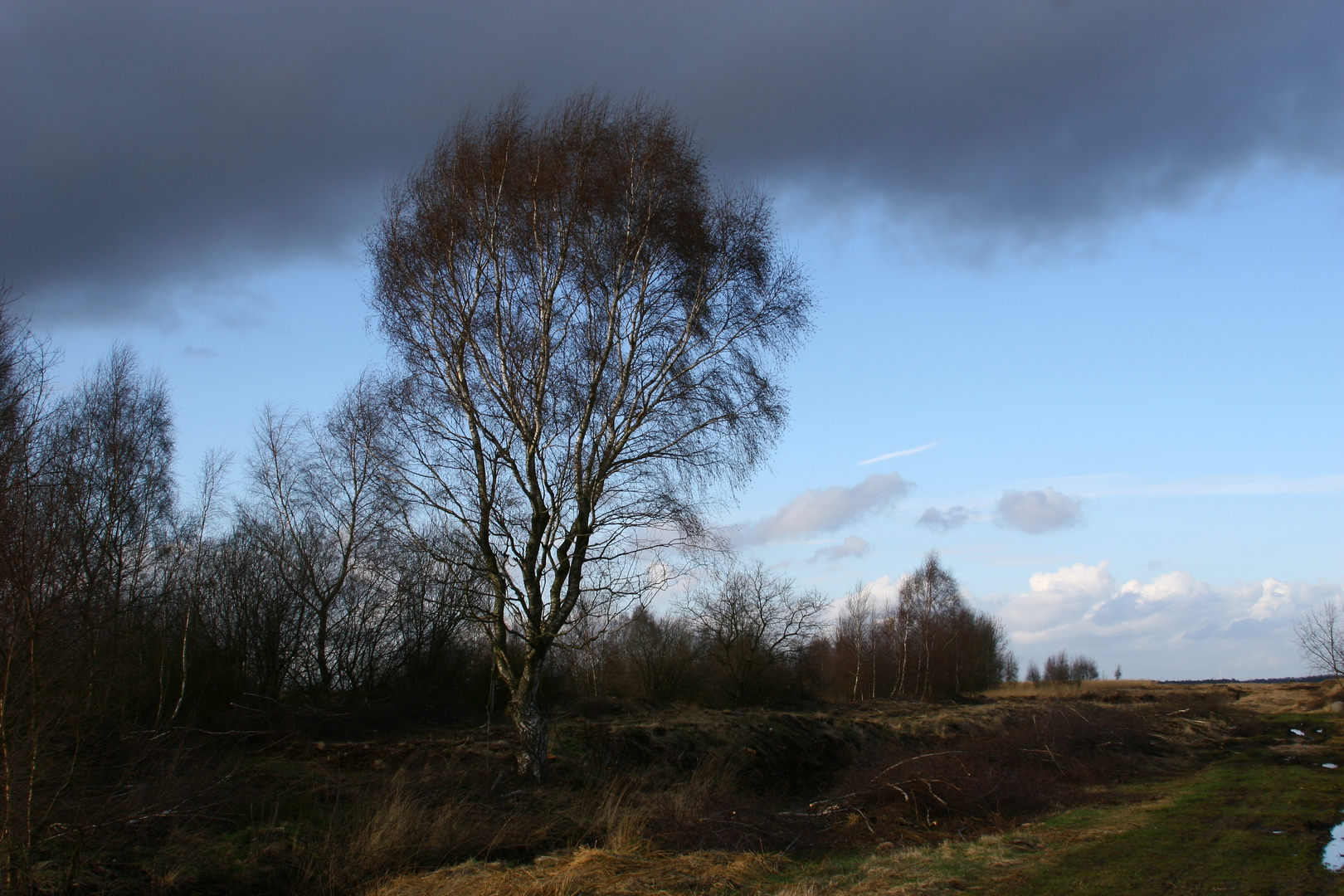 Moor bei Vechta