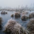 Moor Goldenstedt