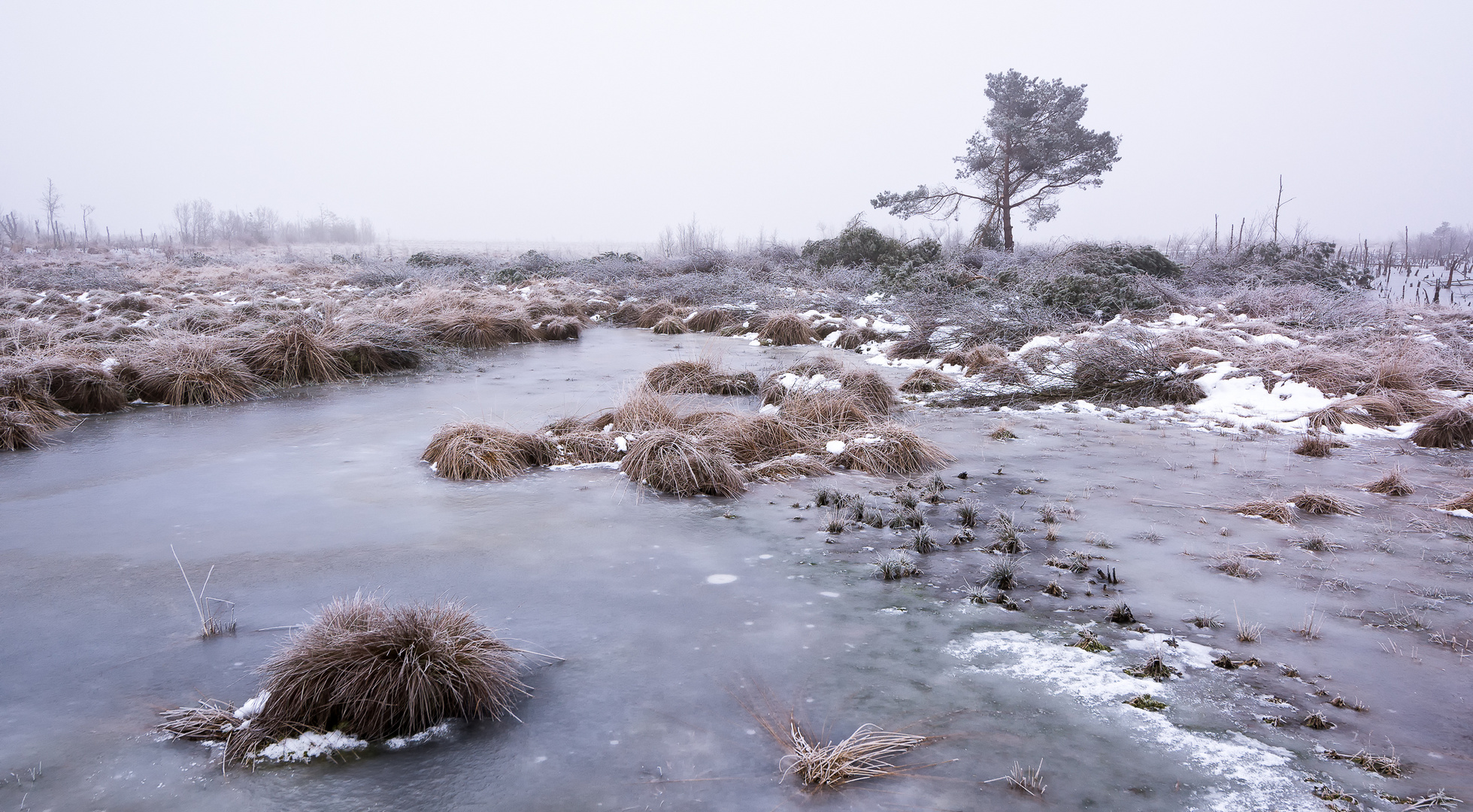 Moor Goldenstedt