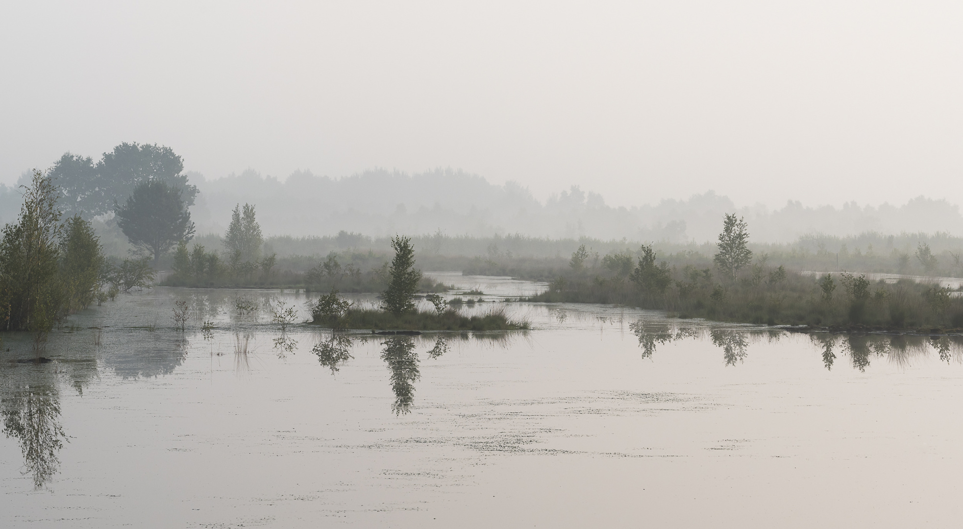 Moor Goldenstedt bei Nebel