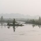 Moor Goldenstedt bei Nebel