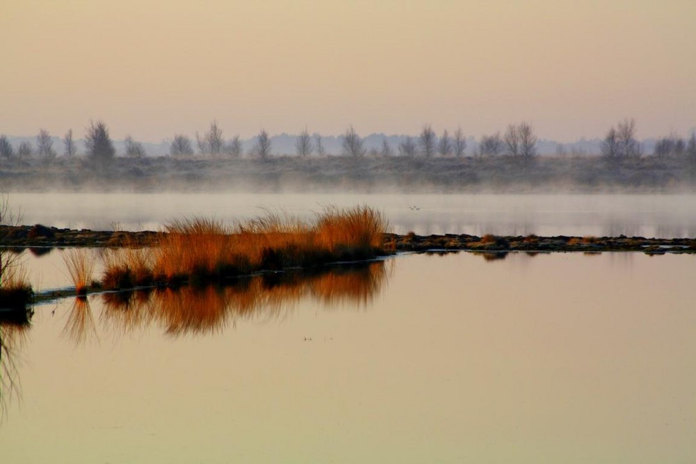 Moor Goldenstedt