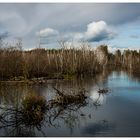 Moor im April