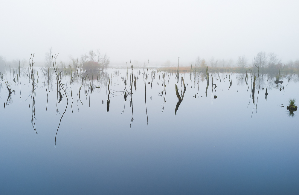 Moor im Herbst