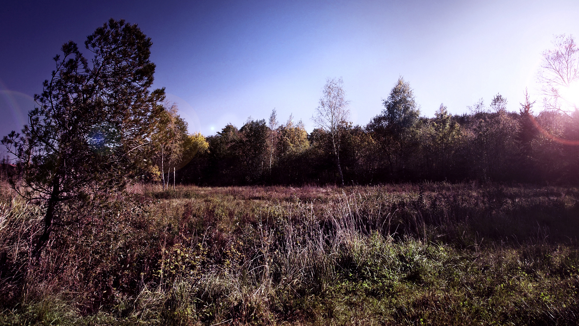 Moor im Herbst