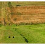 Moor im Herbst