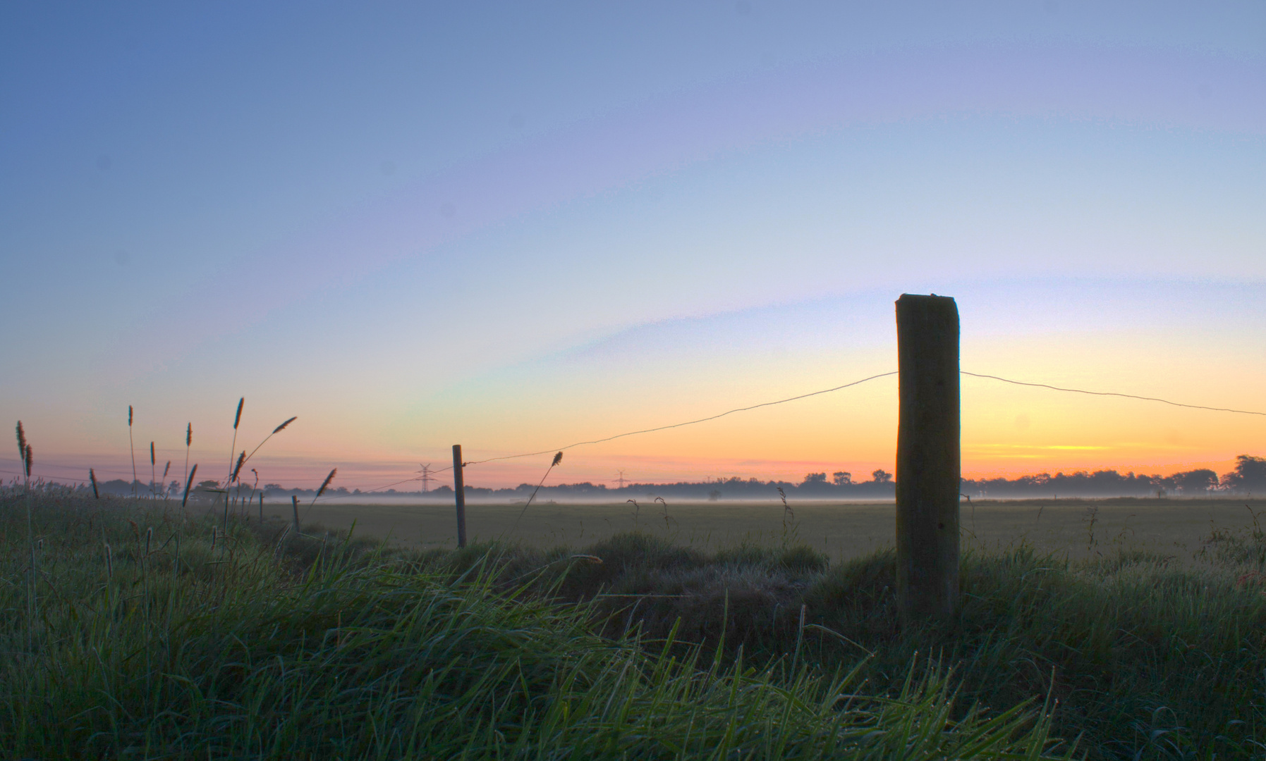 Moor im Morgengrauen