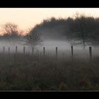 Moor im Nebel