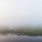 ___moor im nebel____