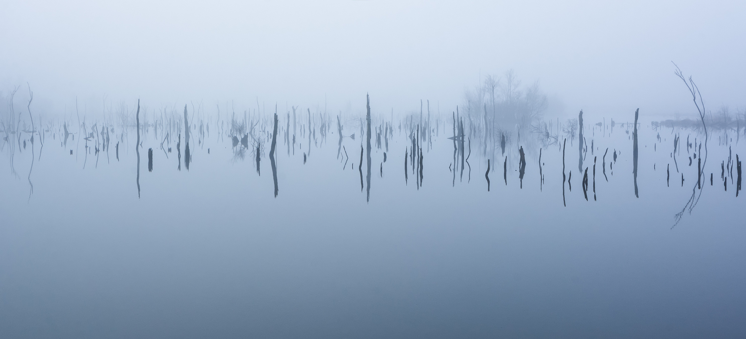 __moor im nebel__