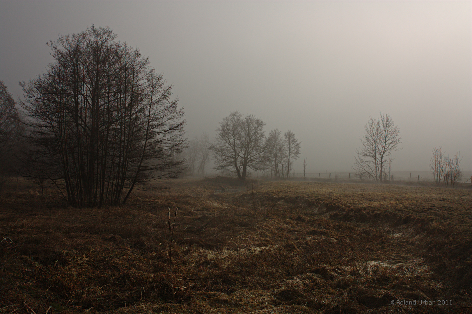 Moor im Nebel