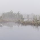 Moor im Nebel