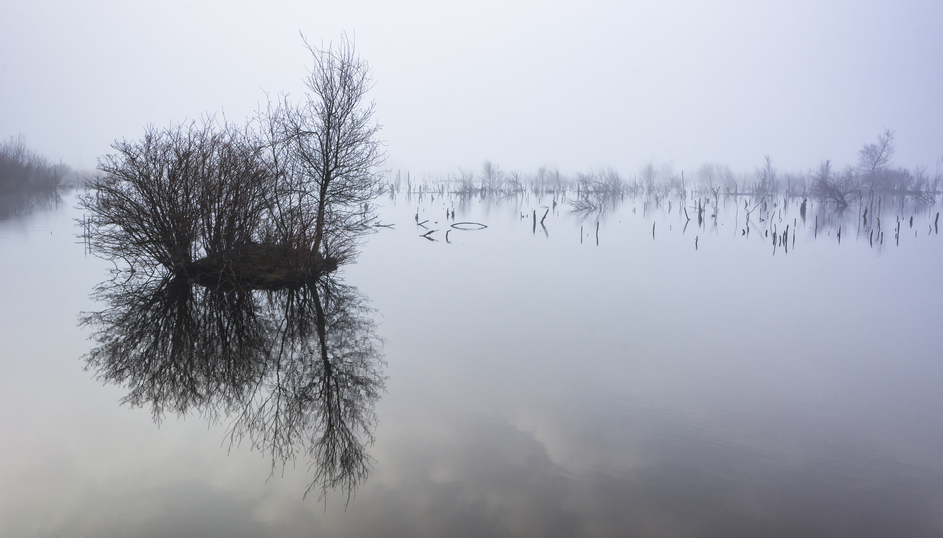 Moor im Nebel:_:_: