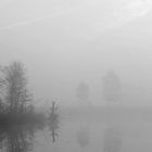 Moor im Nebel