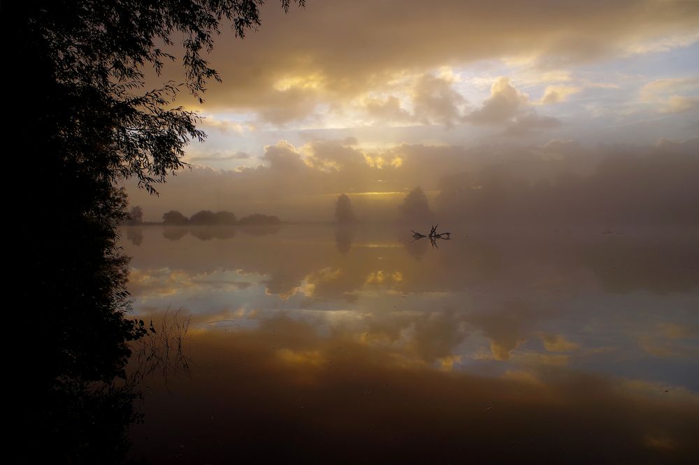 Moor im Nebel