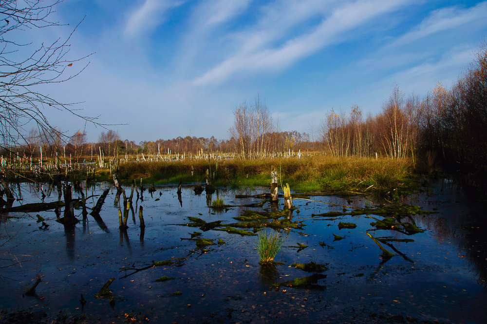 Moor im Oktober