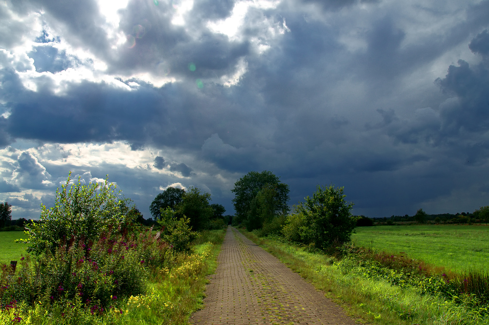 Moor im Regen