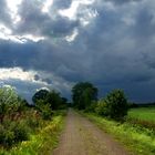 Moor im Regen